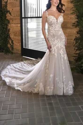 Lace Illusion Neck Gown with Long Train for Formal Events