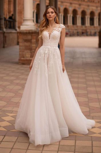 Lace Illusion Neck A-Line Gown with Long Train for Evening Events