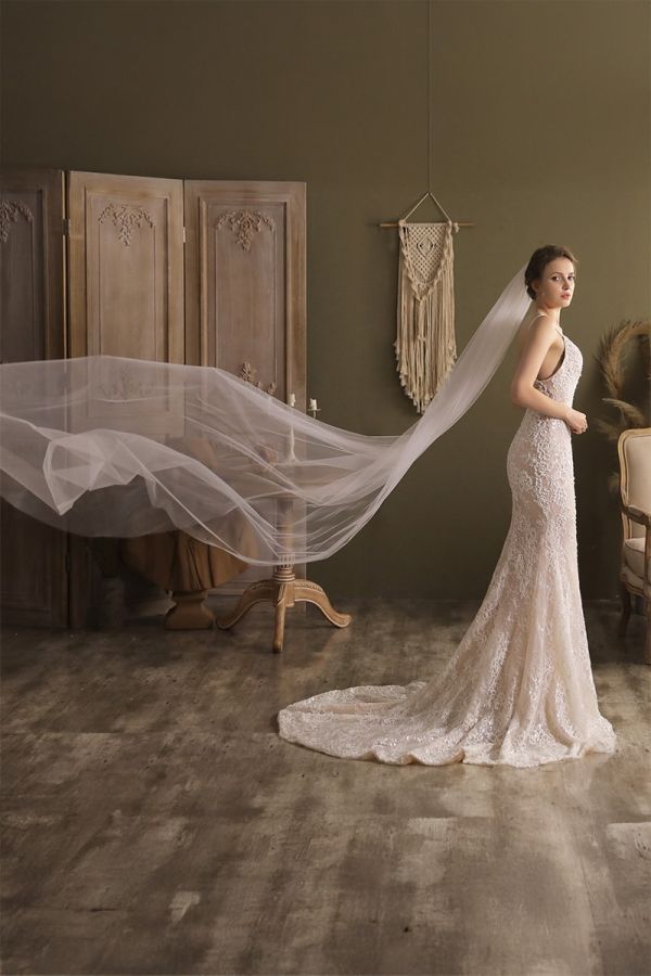 Long Tulle Veil with Delicate Trim for Bridal Events